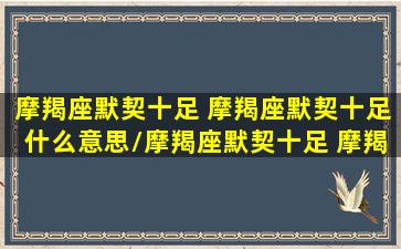 摩羯座默契十足 摩羯座默契十足什么意思/摩羯座默契十足 摩羯座默契十足什么意思-我的网站